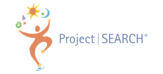 search-project